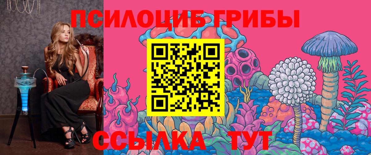 где найти   Псилоцибиновые грибы Psilocybe  Вход с VPN  Железноводск 